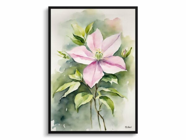 watercolour botanical print flowers clematis mayleen front view 1