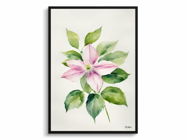 watercolour botanical print flowers clematis mayleen minimalist front view 1