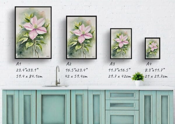 watercolour botanical print flowers clematis mayleen print size comparison 1