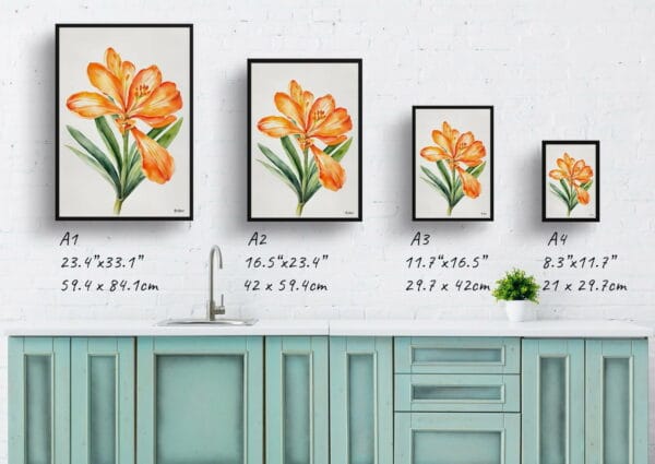 watercolour botanical print flowers clivia minimalist print size comparison 1