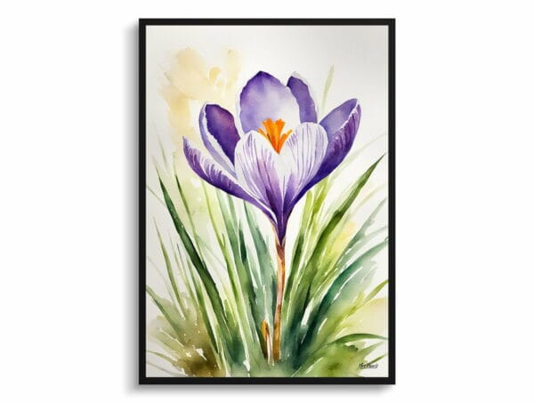 watercolour botanical print flowers crocus front view 1