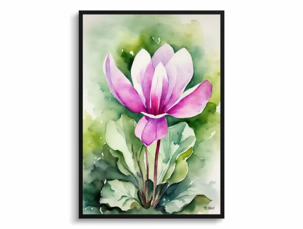 watercolour botanical print flowers cyclamen coum front view 1