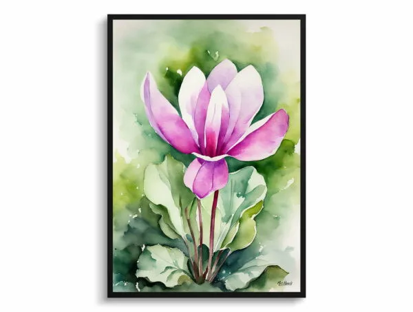 watercolour botanical print flowers cyclamen coum front view