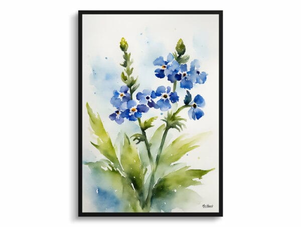 watercolour botanical print flowers cynoglossum amabile front view 1