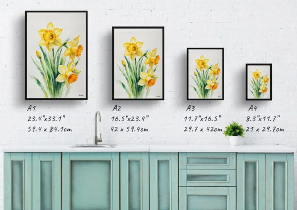 watercolour botanical print flowers daffodil minimalist print size comparison 1