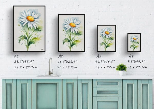 watercolour botanical print flowers daisy minimalist print size comparison 1