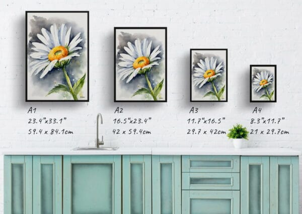 watercolour botanical print flowers daisy print size comparison 1