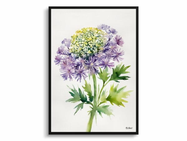 watercolour botanical print flowers daucus carota purple haze minimalist front view 1