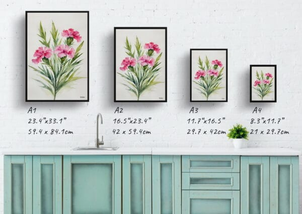 watercolour botanical print flowers dianthus devon wizard minimalist print size comparison 1