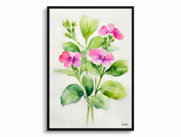 watercolour botanical print flowers diascia personata minimalist front view 1