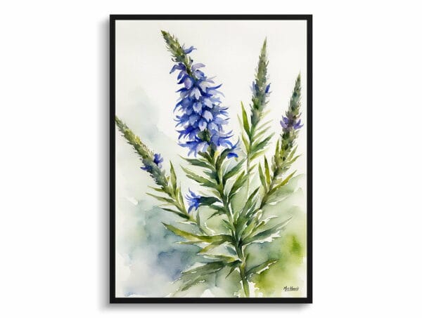 watercolour botanical print flowers echium vulgare front view 1