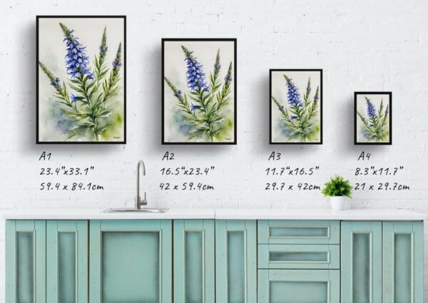 watercolour botanical print flowers echium vulgare print size comparison 1