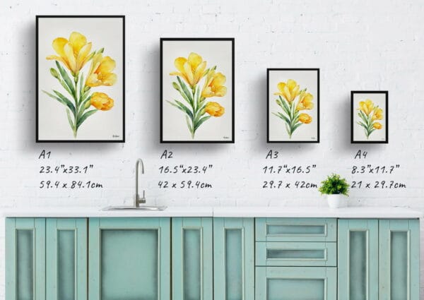 watercolour botanical print flowers freesia minimalist print size comparison 1