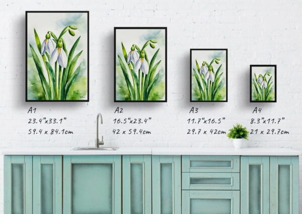 watercolour botanical print flowers galanthus elwesii print size comparison 1