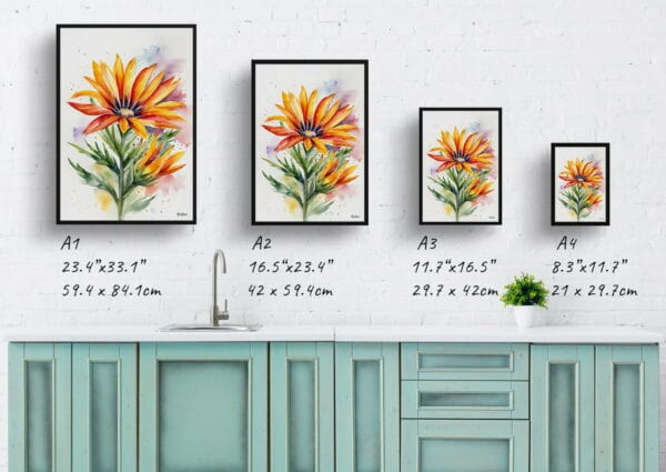 watercolour botanical print flowers gazania minimalist print size comparison