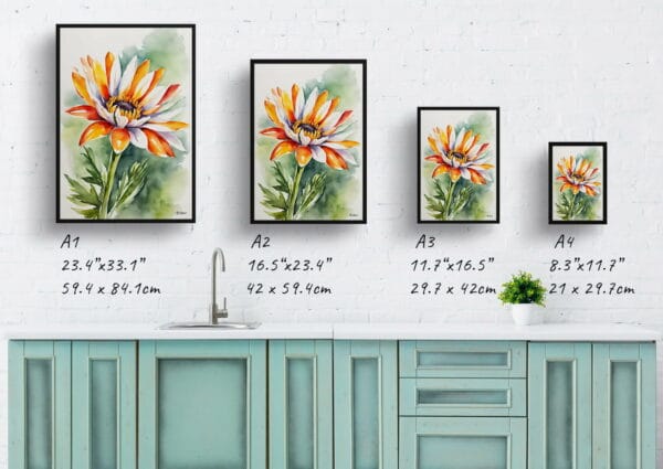 watercolour botanical print flowers gazania print size comparison 1