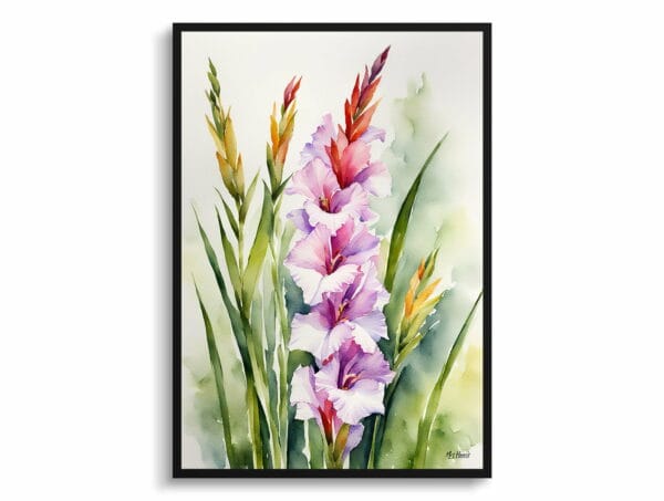 watercolour botanical print flowers gladiolus communis byzantinus front view 1