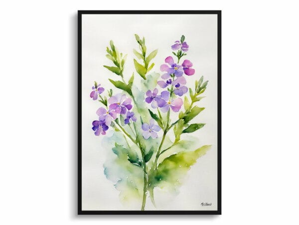 watercolour botanical print flowers hesperis matronalis minimalist front view 1