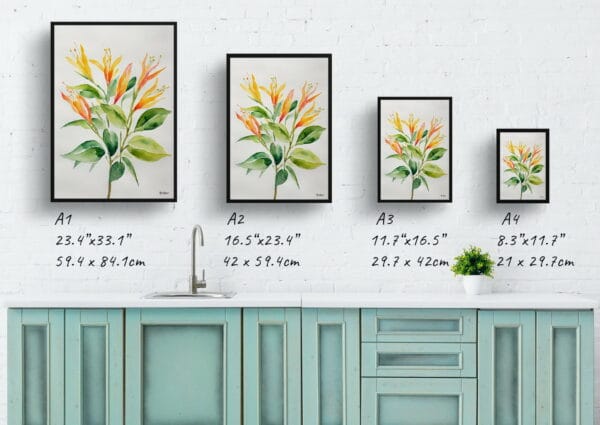 watercolour botanical print flowers honeysuckle minimalist print size comparison 1