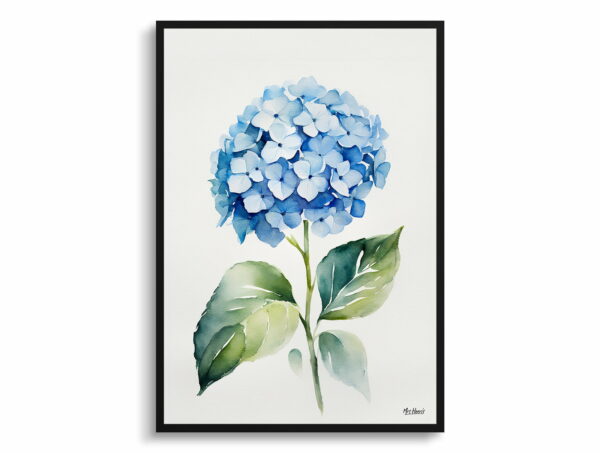 watercolour botanical print flowers hydrangea minimalist front view 1