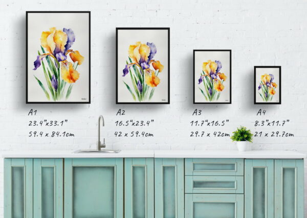 watercolour botanical print flowers iris minimalist print size comparison 1