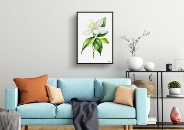 watercolour botanical print flowers jasmine minimalist living room 1