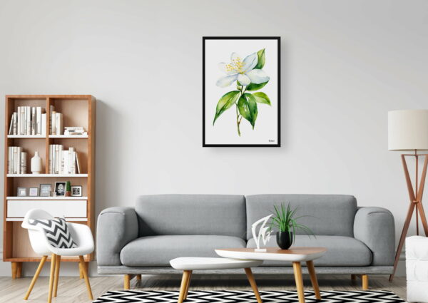 watercolour botanical print flowers jasmine minimalist office 1