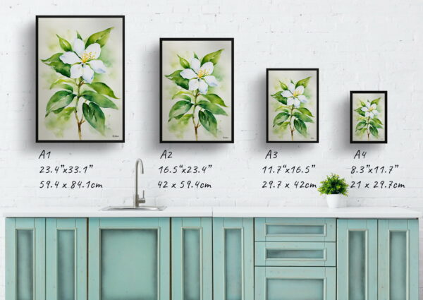 watercolour botanical print flowers jasmine print size comparison 1