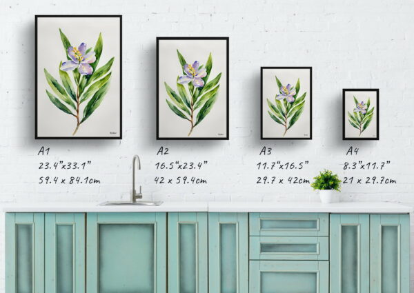 watercolour botanical print flowers laurel minimalist print size comparison 1