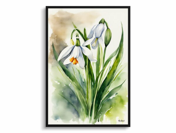 watercolour botanical print flowers leucojum aestivum gravetye giant front view 1