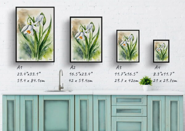 watercolour botanical print flowers leucojum aestivum gravetye giant print size comparison 1