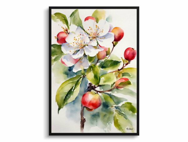 watercolour botanical print flowers malus domestica howgate wonder front view 1