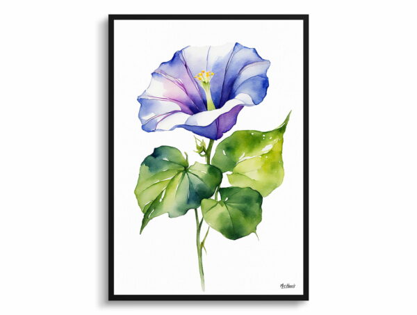 watercolour botanical print flowers morning glory minimalist front view 1