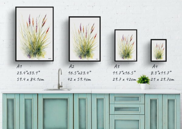 watercolour botanical print flowers muhlenbergia capillaris hairawn muhly minimalist print size comparison 1