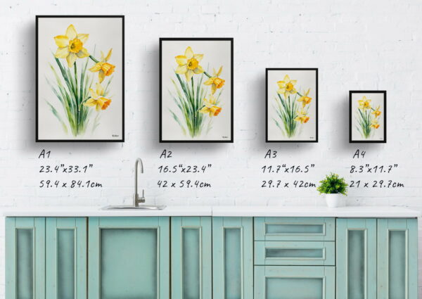 watercolour botanical print flowers narcissus hawera minimalist print size comparison 1