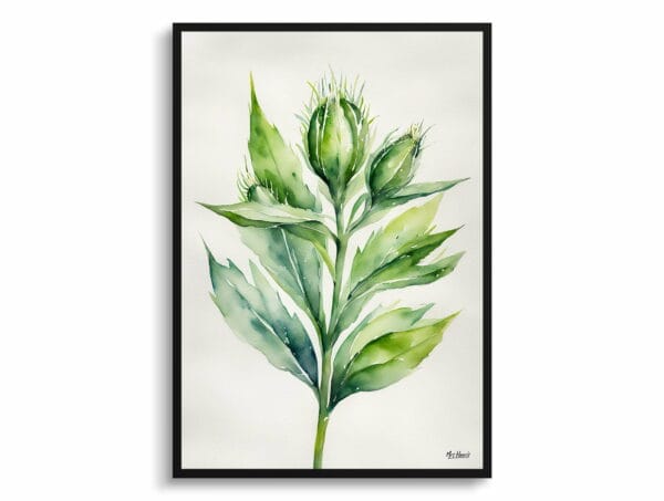 Cotton Scotch thistle Watercolour Botanical Art Print - Onopordum Acanthium Minimalist Framed Plant Wall Art - Image 9