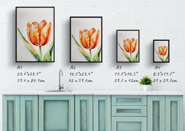 watercolour botanical print flowers orange tulip print size comparison 1