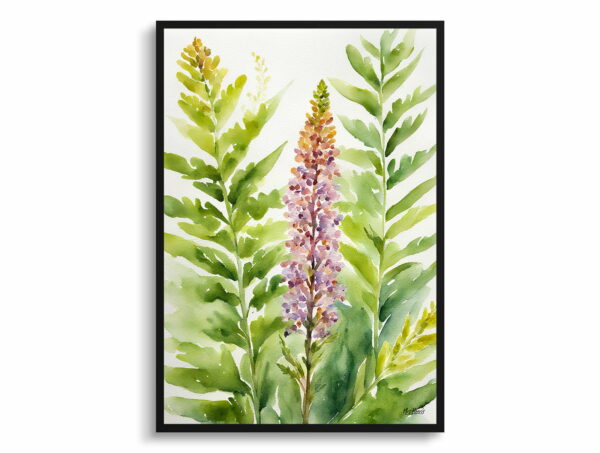 watercolour botanical print flowers osmunda regalis royal fern front view 1