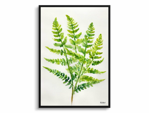 watercolour botanical print flowers osmunda regalis royal fern minimalist front view 1