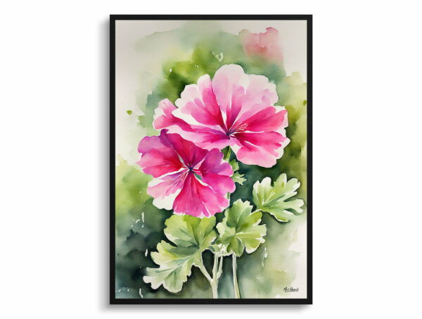 watercolour botanical print flowers pink geranium front view 1