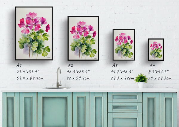 watercolour botanical print flowers pink geranium minimalist print size comparison 1