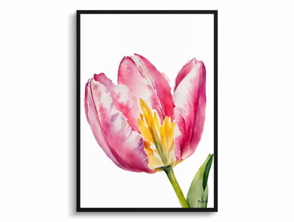 watercolour botanical print flowers pink tulip minimalist front view 1