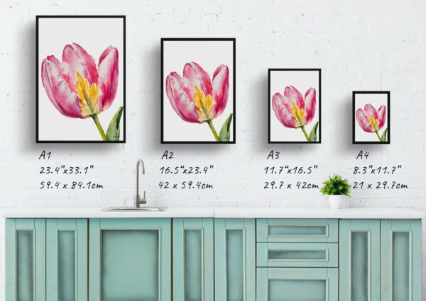 watercolour botanical print flowers pink tulip minimalist print size comparison 1