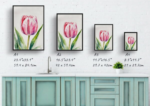 watercolour botanical print flowers pink tulip print size comparison 1