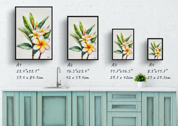 watercolour botanical print flowers plumeria minimalist print size comparison 1