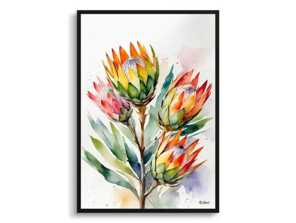 watercolour botanical print flowers proteas front view 1