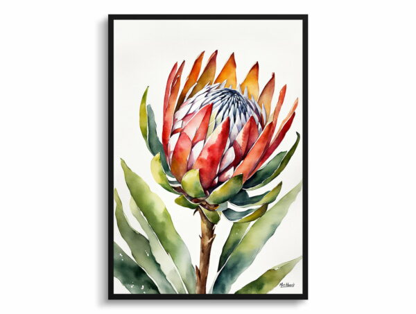 watercolour botanical print flowers proteas minimalist front view 1