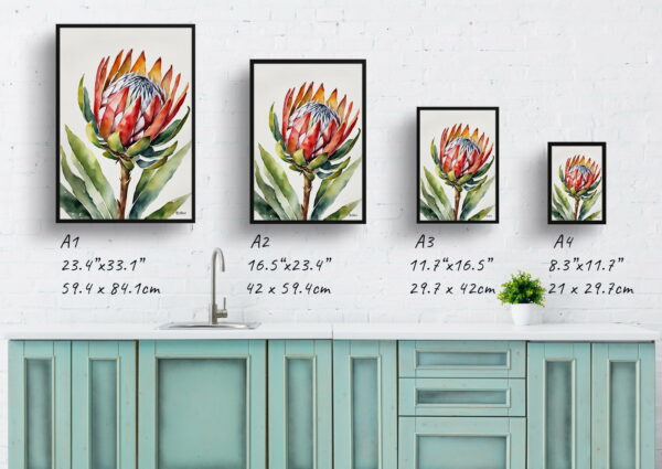 watercolour botanical print flowers proteas minimalist print size comparison 1