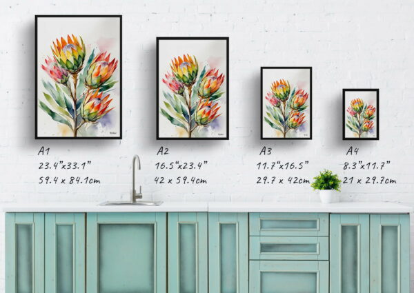 watercolour botanical print flowers proteas print size comparison 1