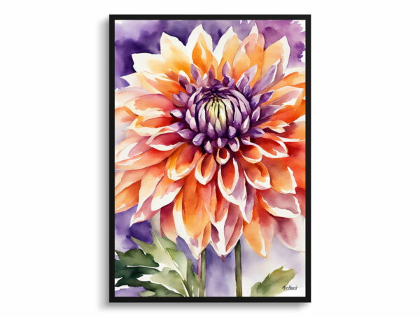 watercolour botanical print flowers purple and orange dahlia front view 1